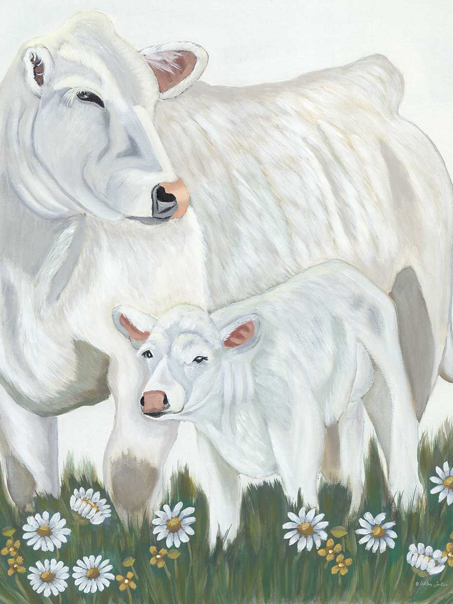 Morning in the Meadow