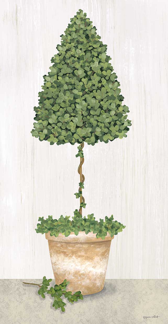 Boxwood Tree Topiary