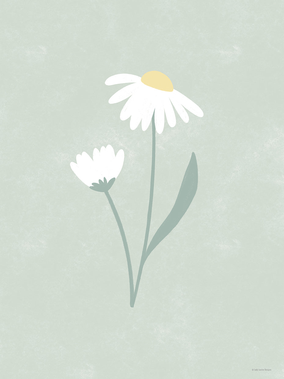 Two Daisies