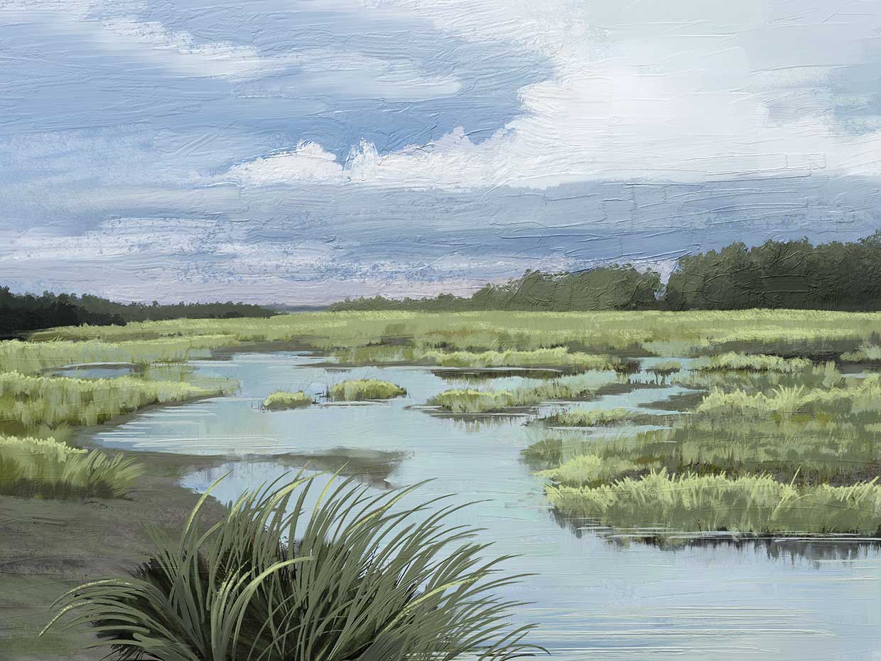 Coastal Wetlands