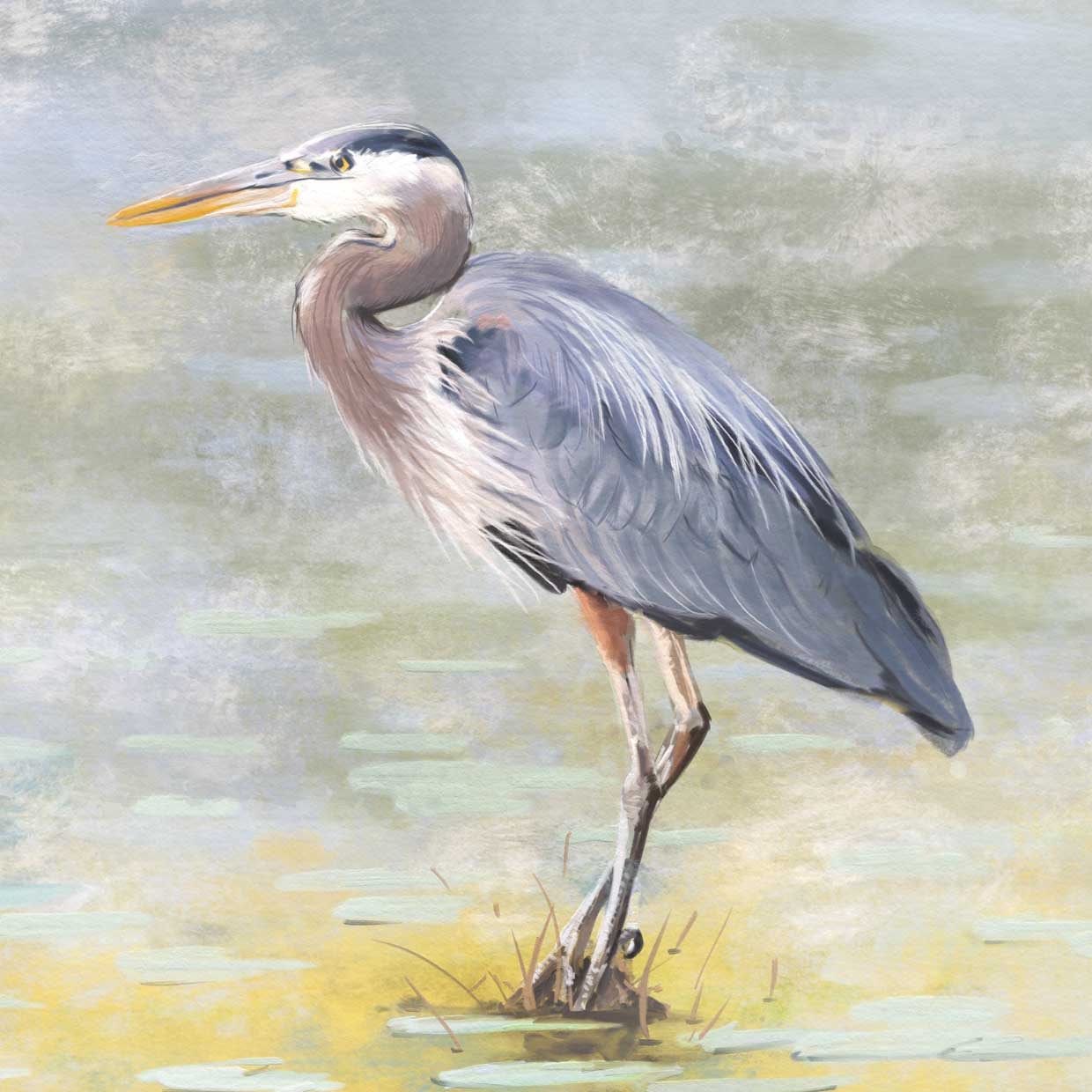 Reflective Heron Square