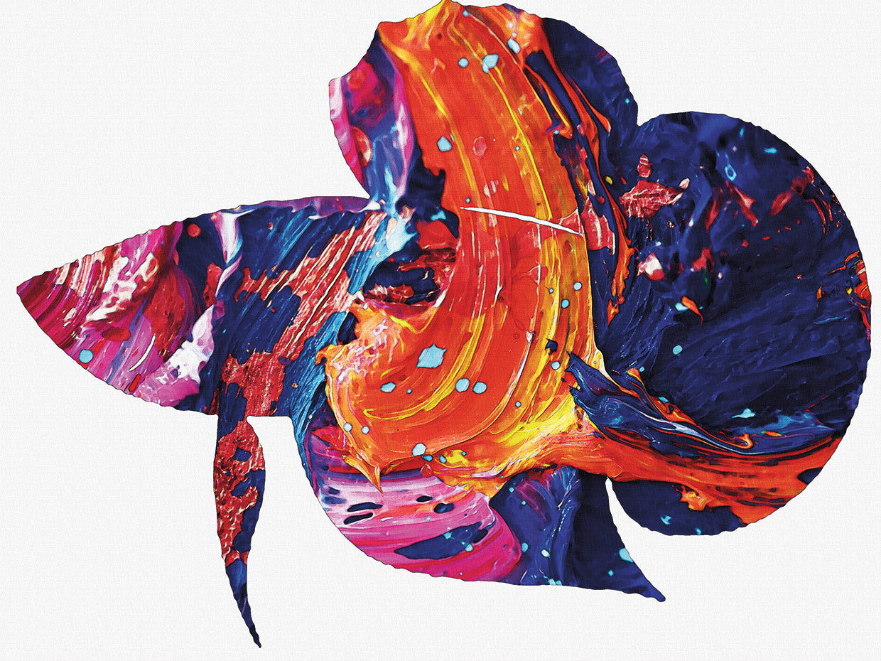 Betta Fish red striped