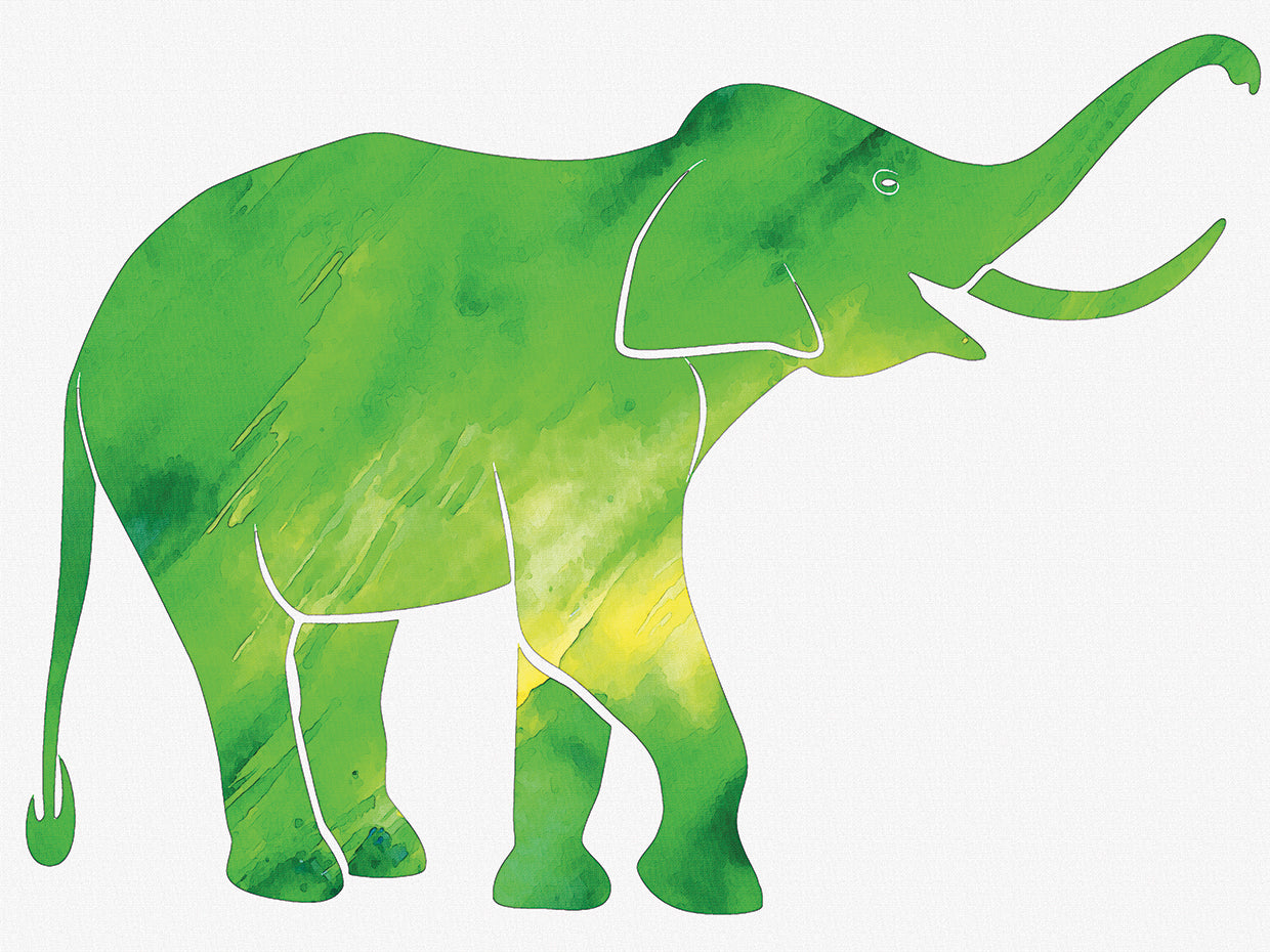 Elephant green background