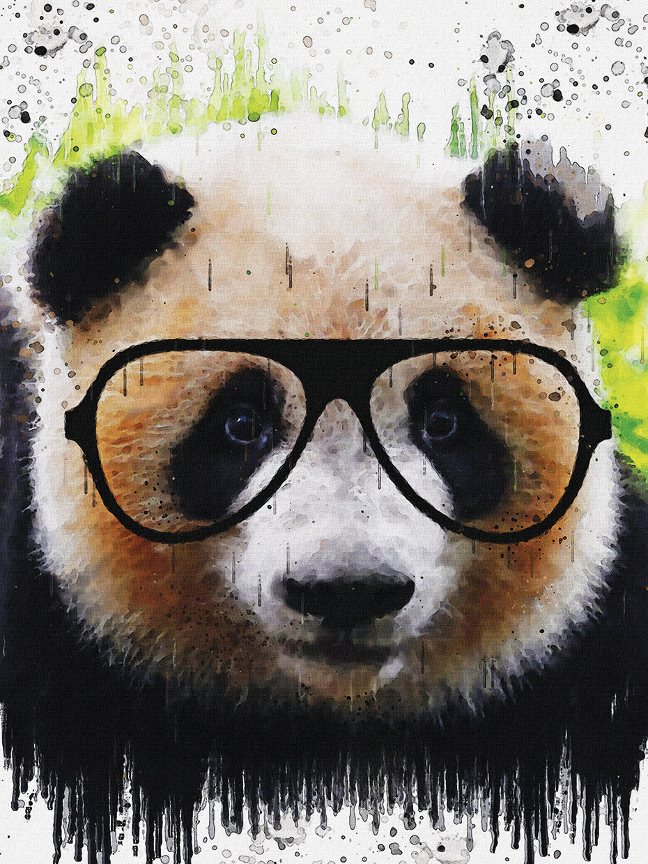 Panda 1