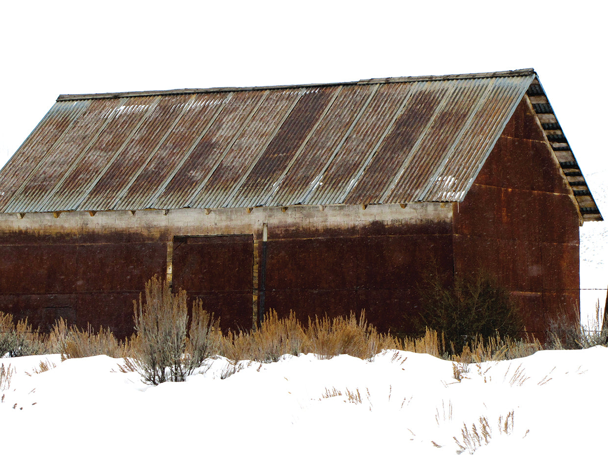 Abandoned Barn