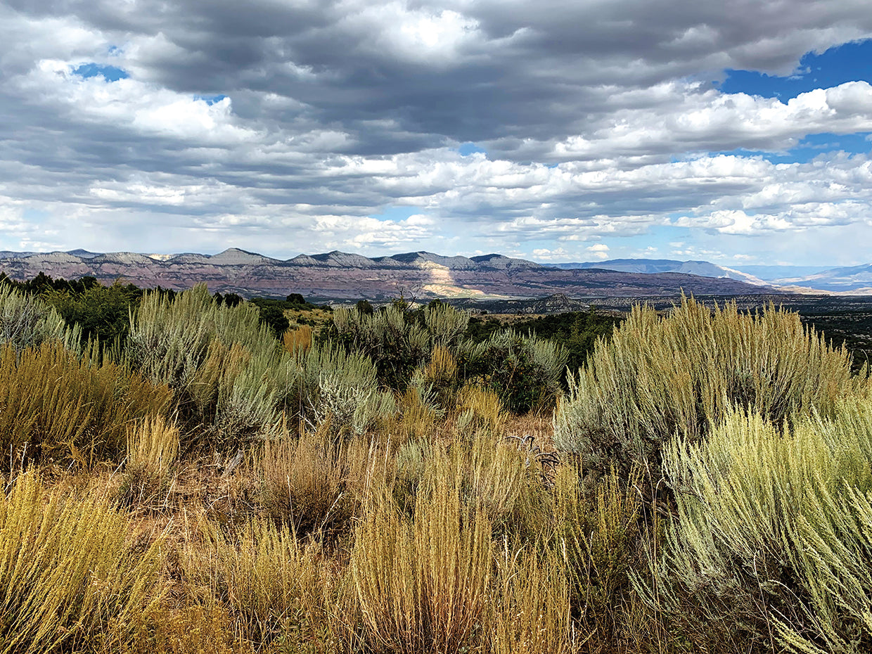 Desert Skies original