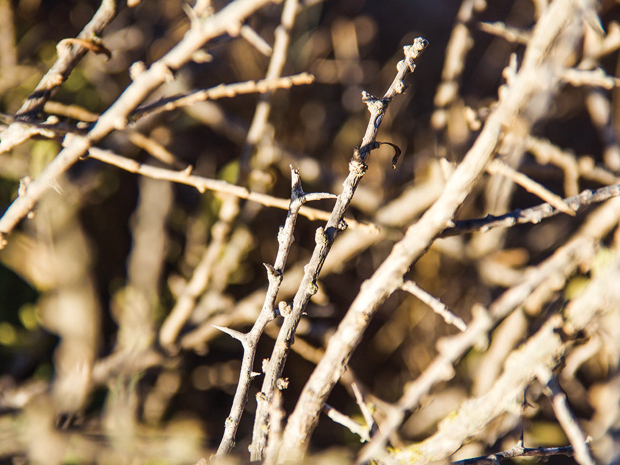 Summer In Portugal 36