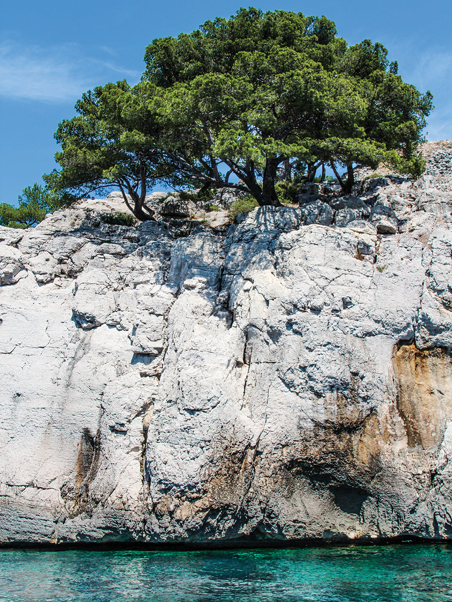 Back to Provence Series 4