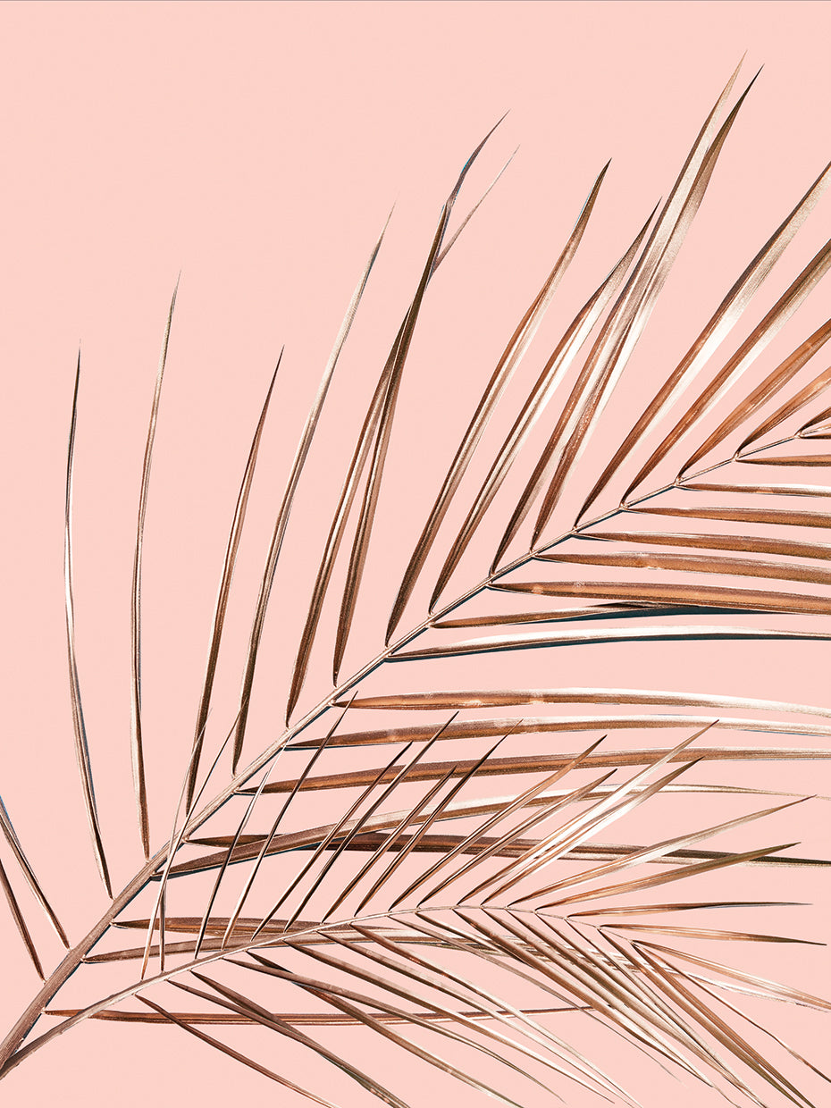 Fashion Rose Leaves Composition 2