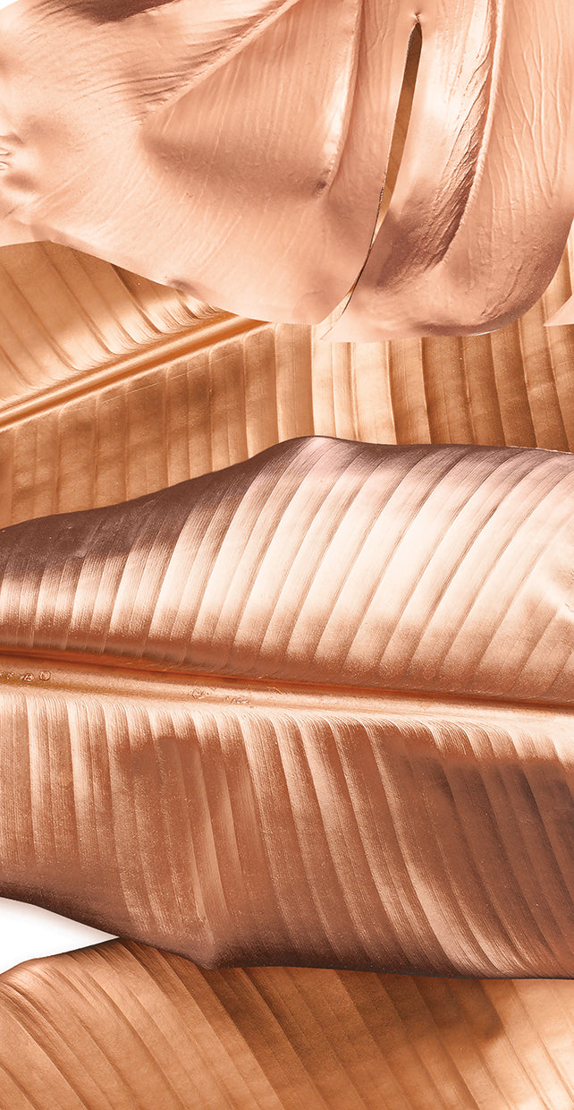 Tropical Rose Leaves 1