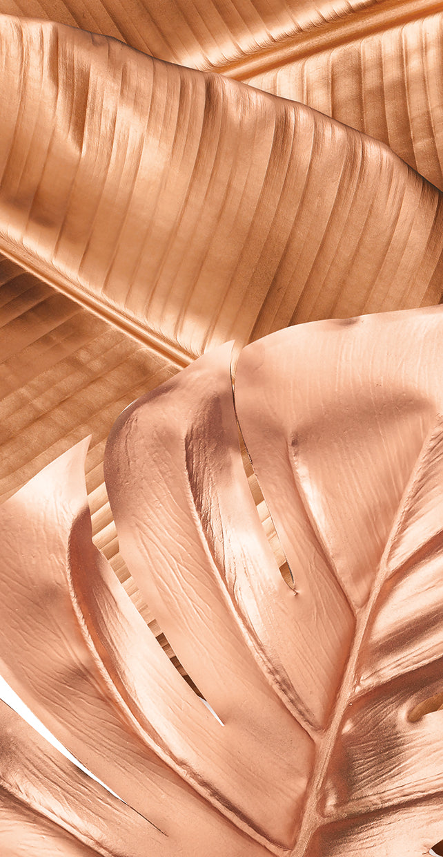 Tropical Rose Leaves 2