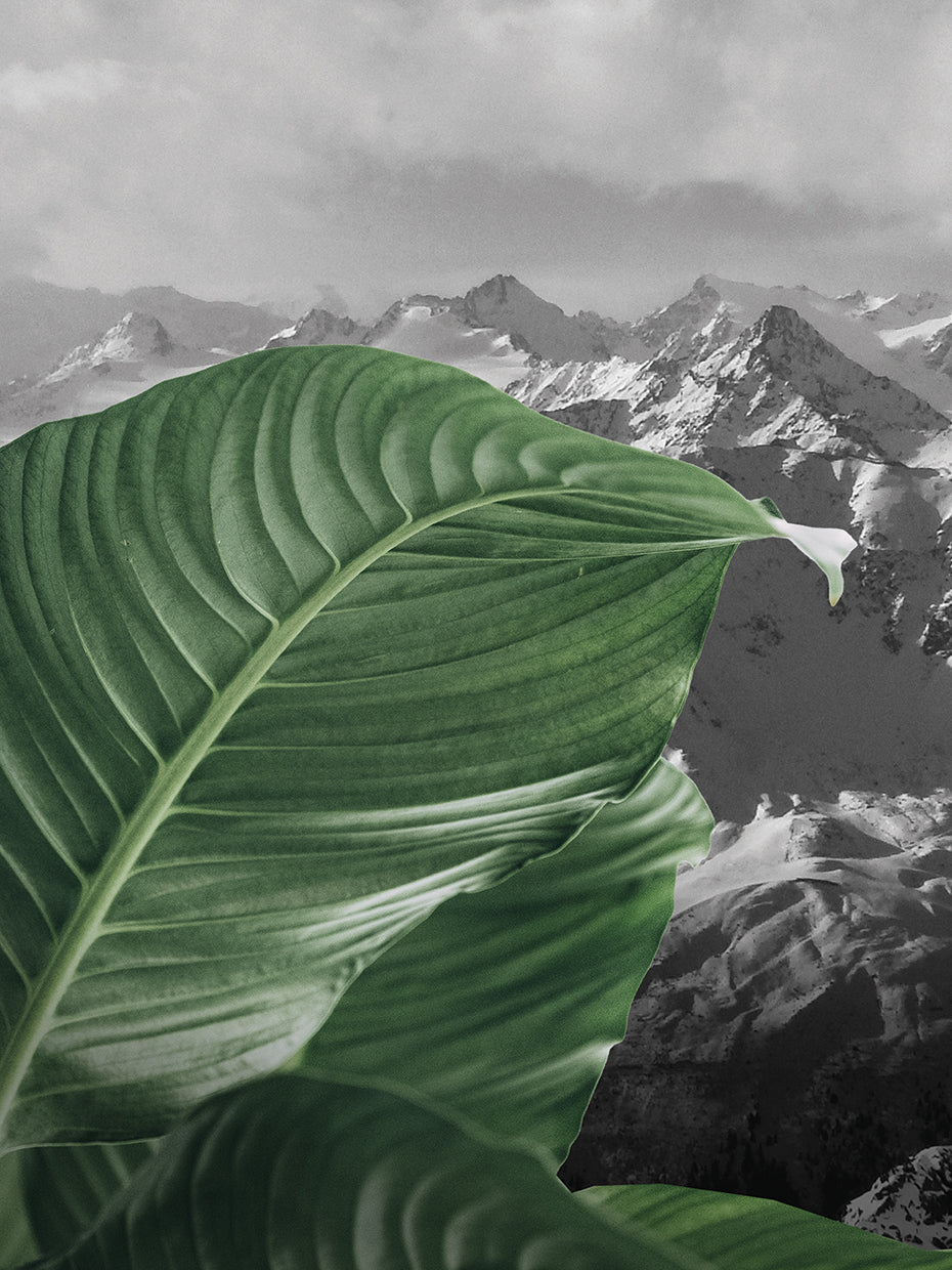 Fashion Nine Series 2