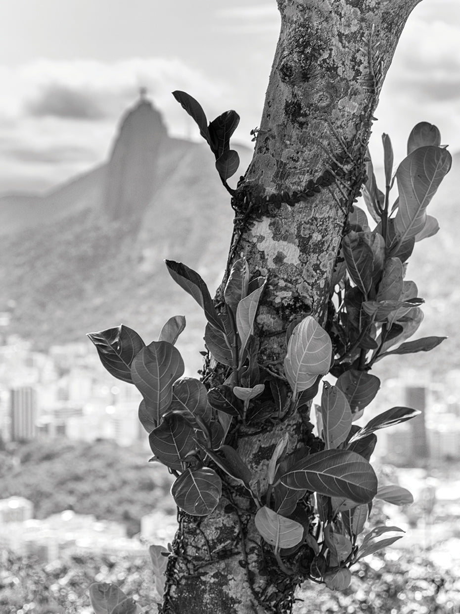 Rio de Janeiro 54