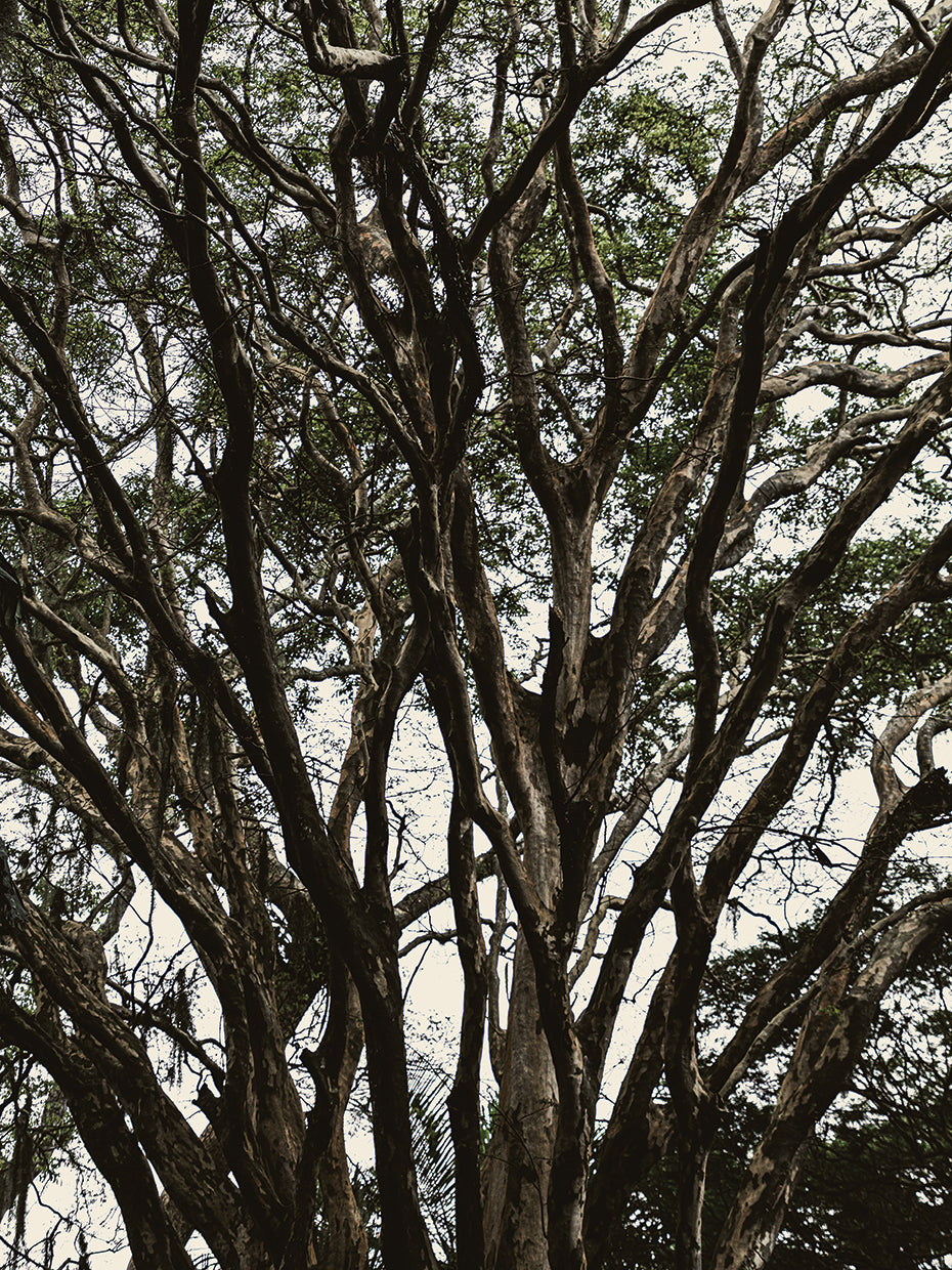 Rio Nature 5