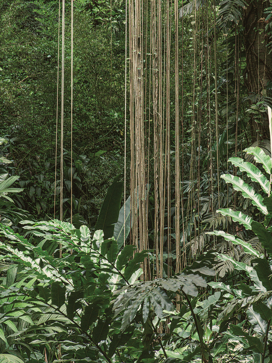 Rio Nature 10