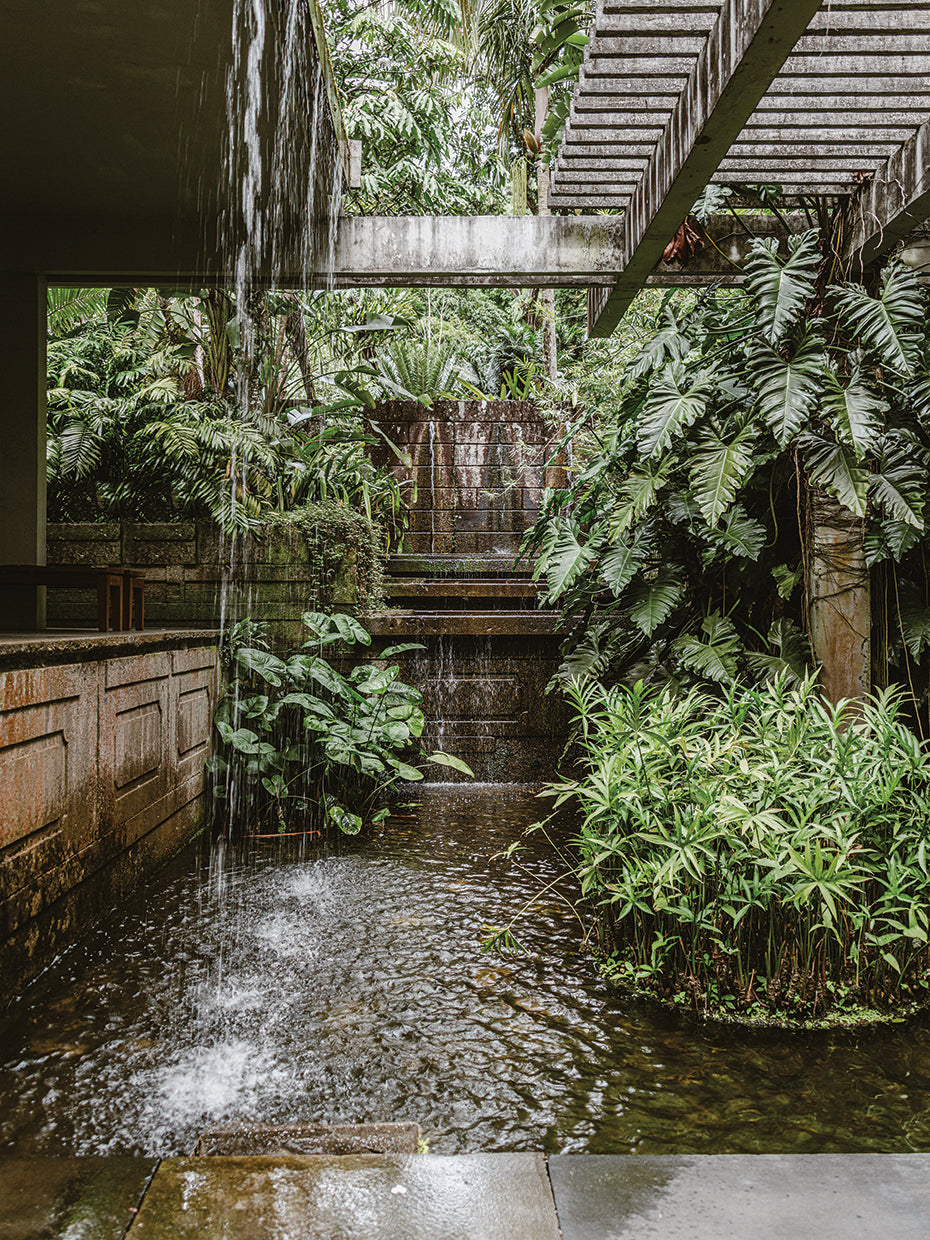 Rio Nature 26