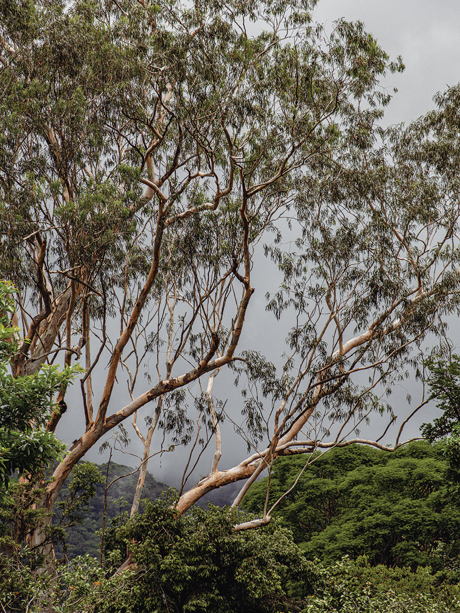 Rio Nature 35