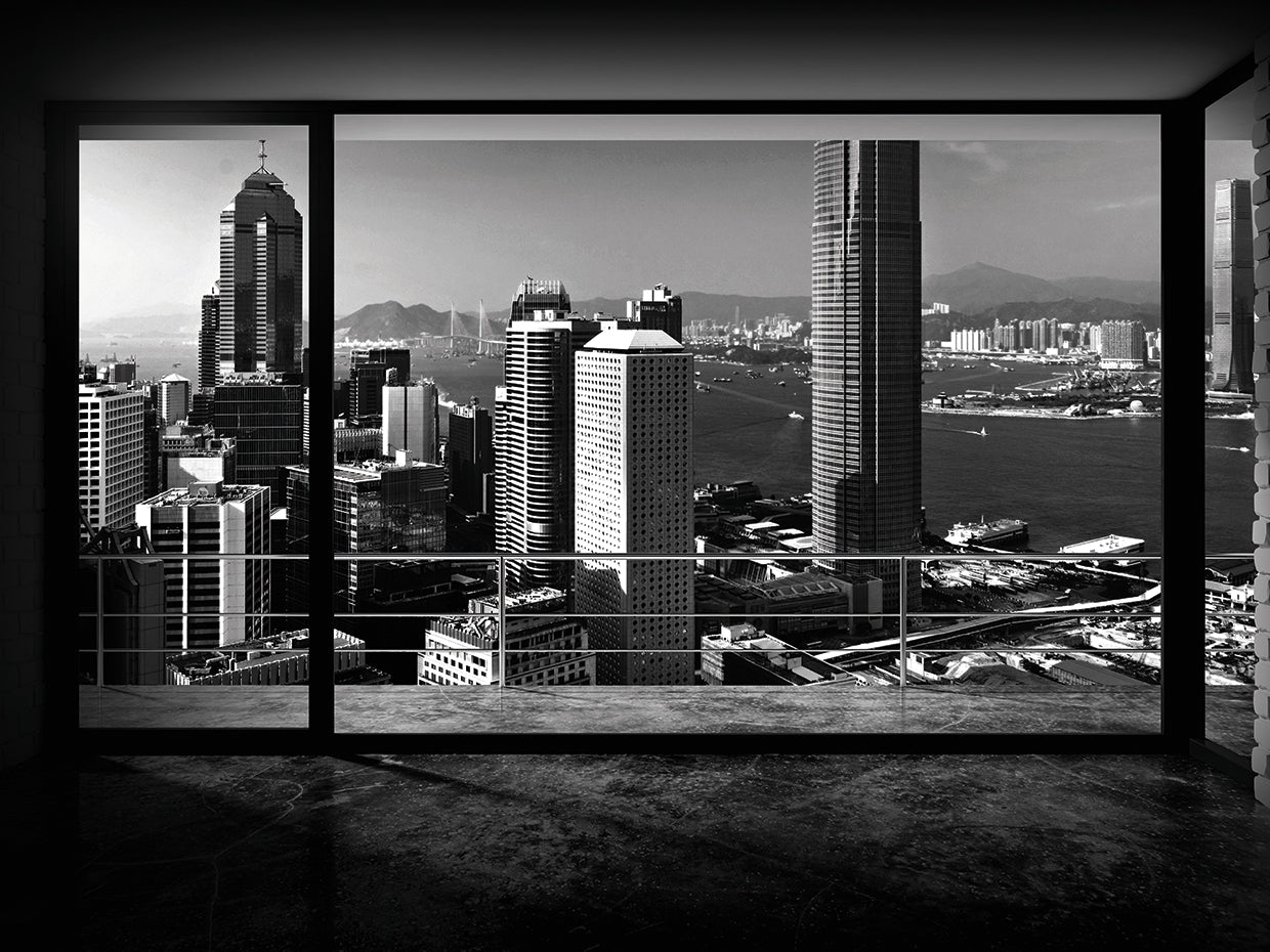 Through The Window 1