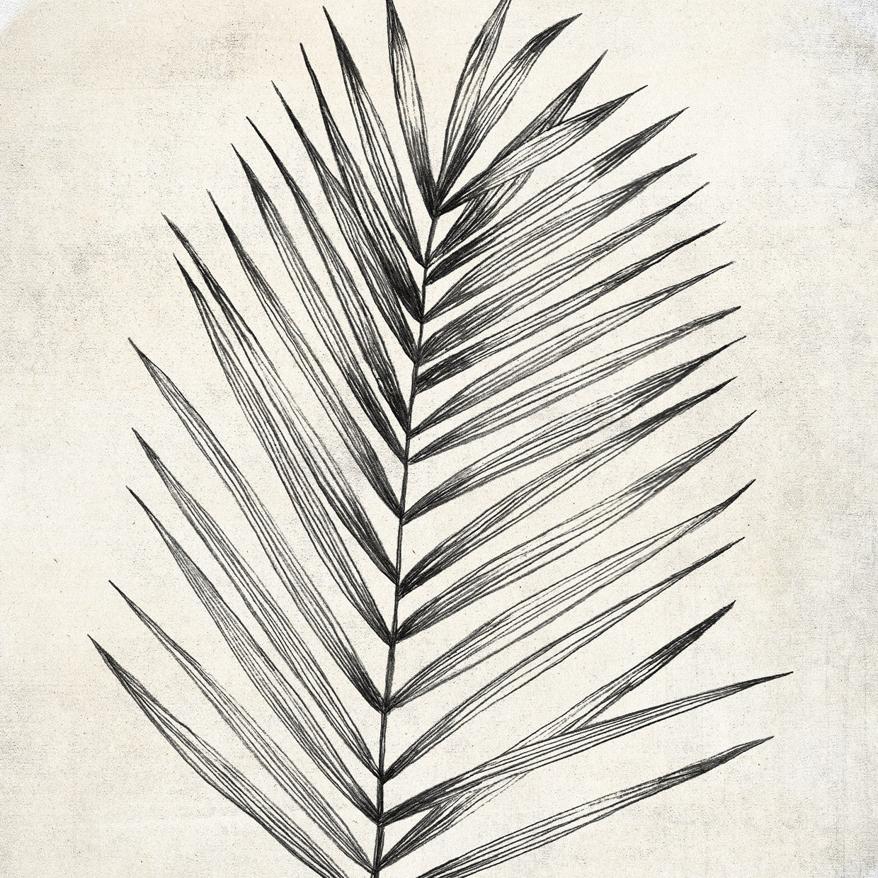 Single Palm Sketch 1