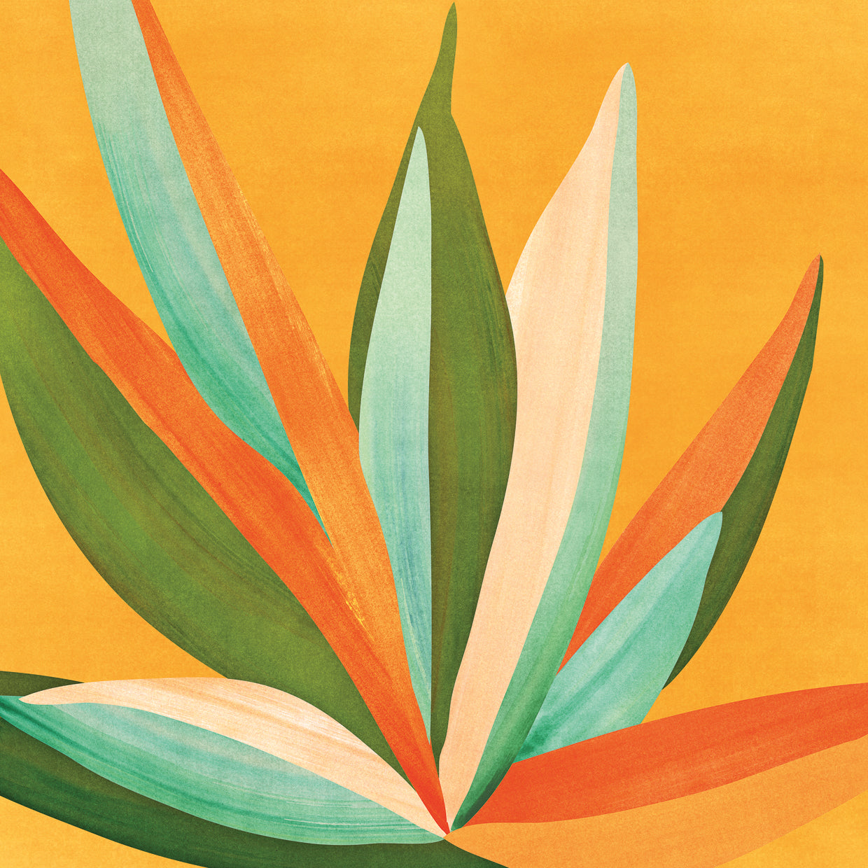 minimalist-agave-textured3