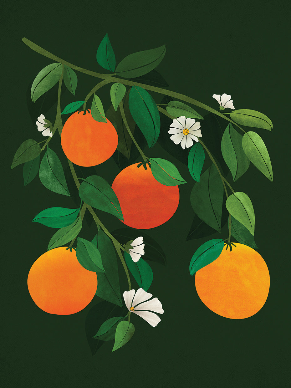oranges-and-blossoms-dark