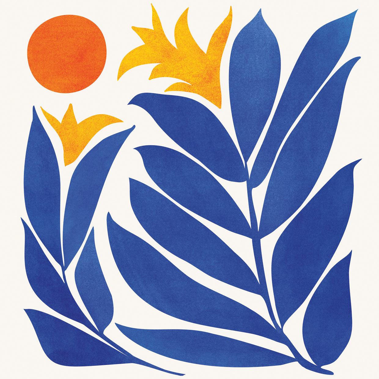 community-garden-noborder