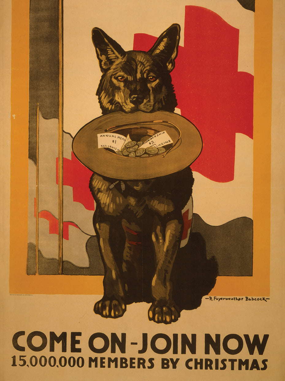 Donate By Christmas Dog