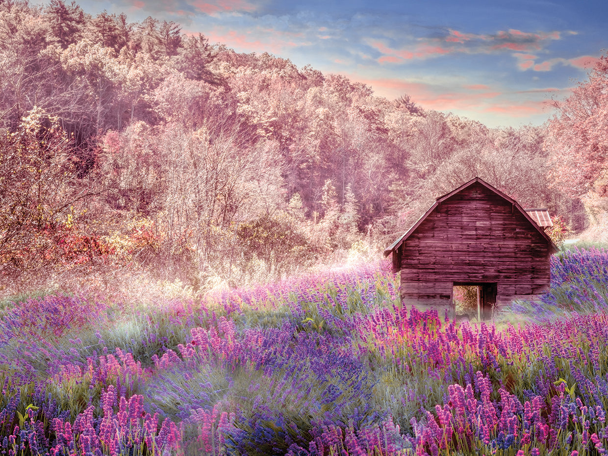 Old Wildflower Barn along the Country Roads