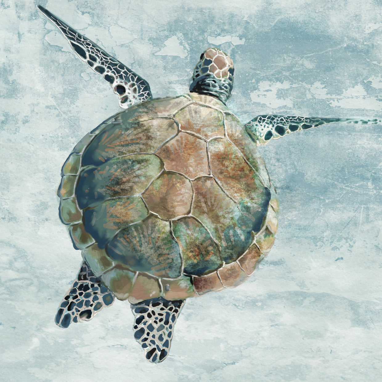 Marine Turtle I
