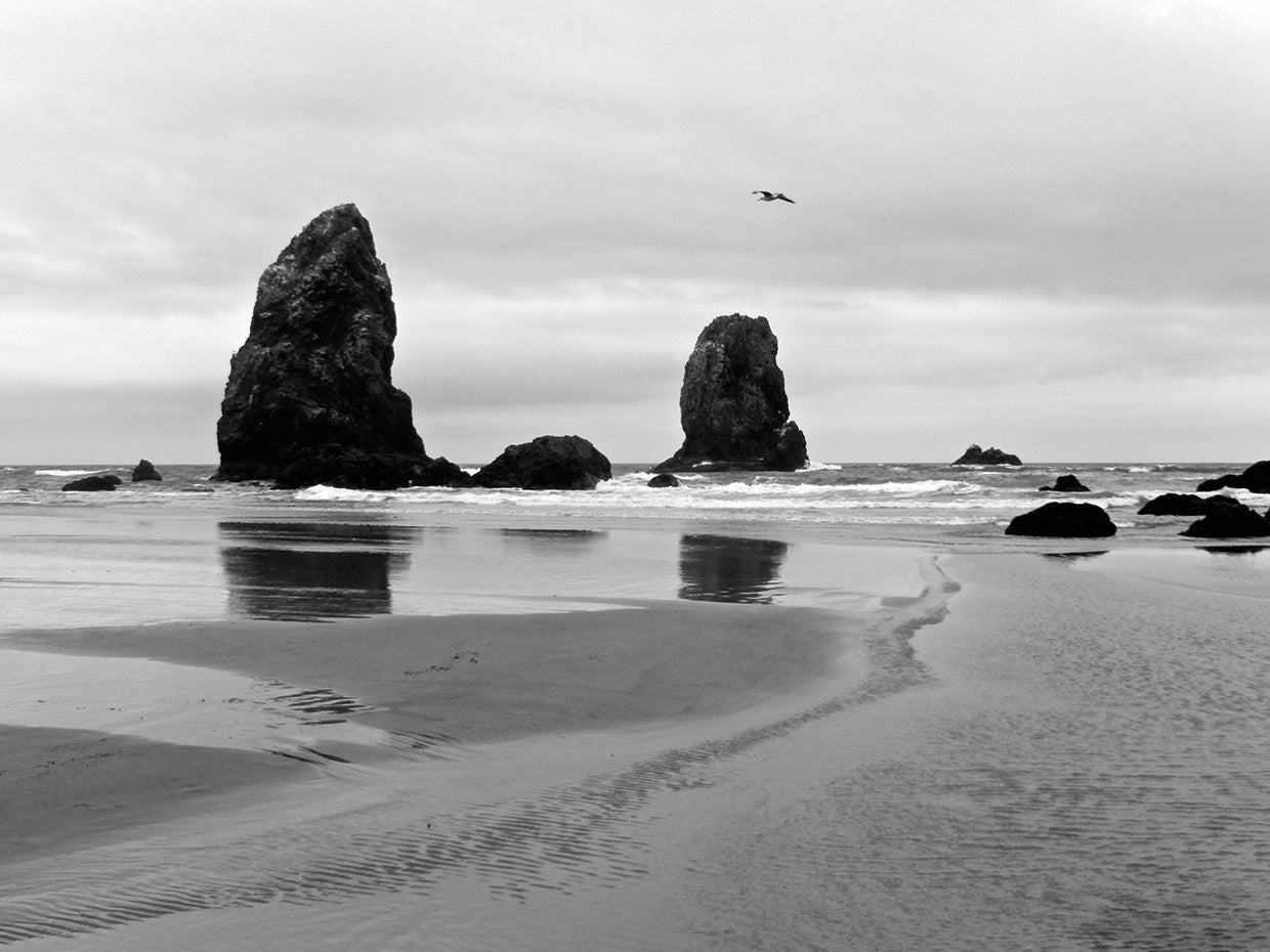 Cannon Beach B&w
