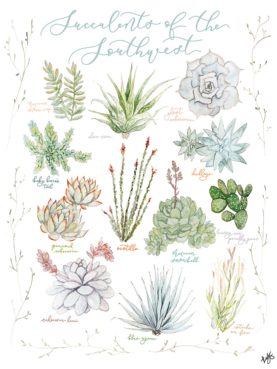 Succulents Of The Southwest Wall Art by Kendall Yvonne