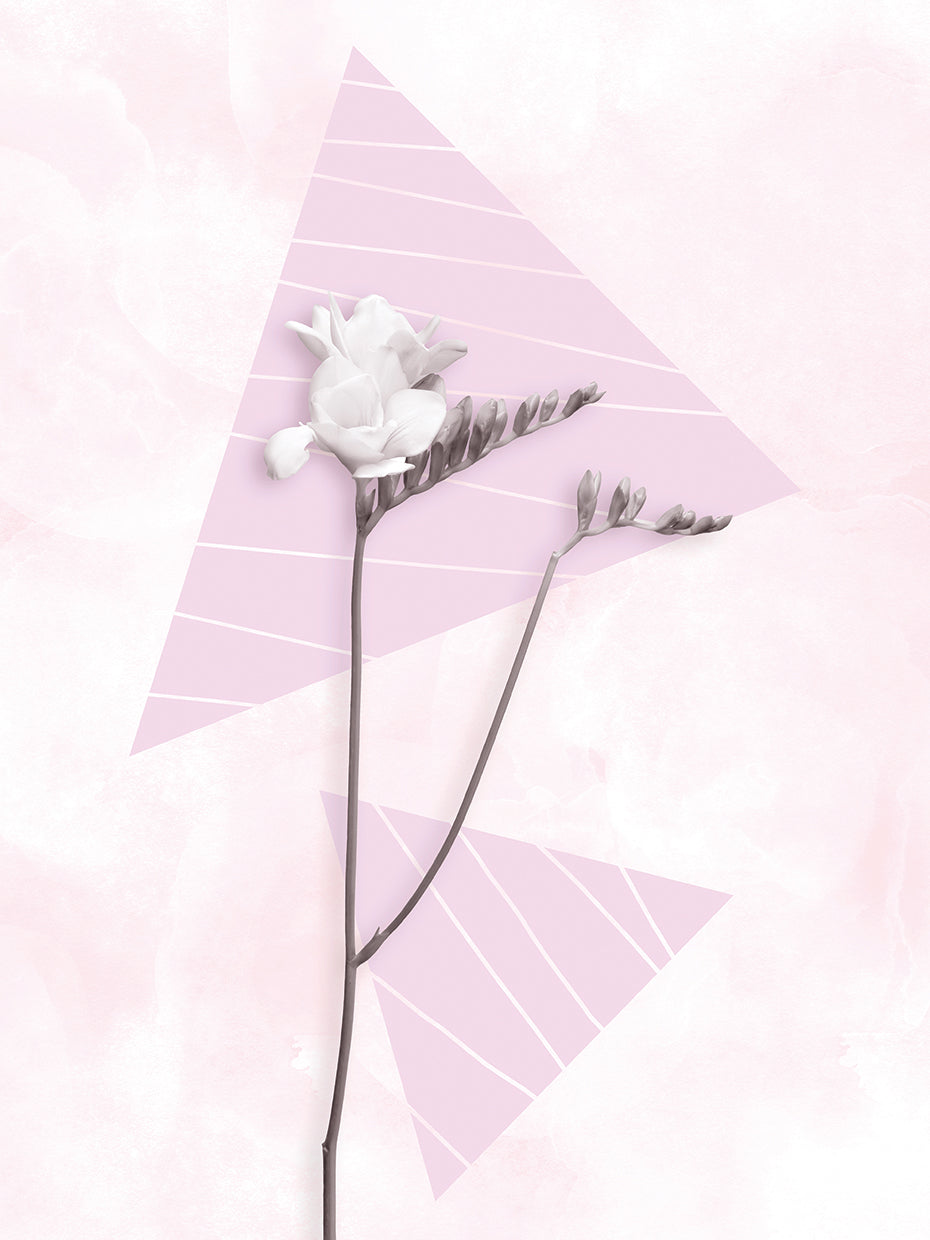 Modern Freesia Design