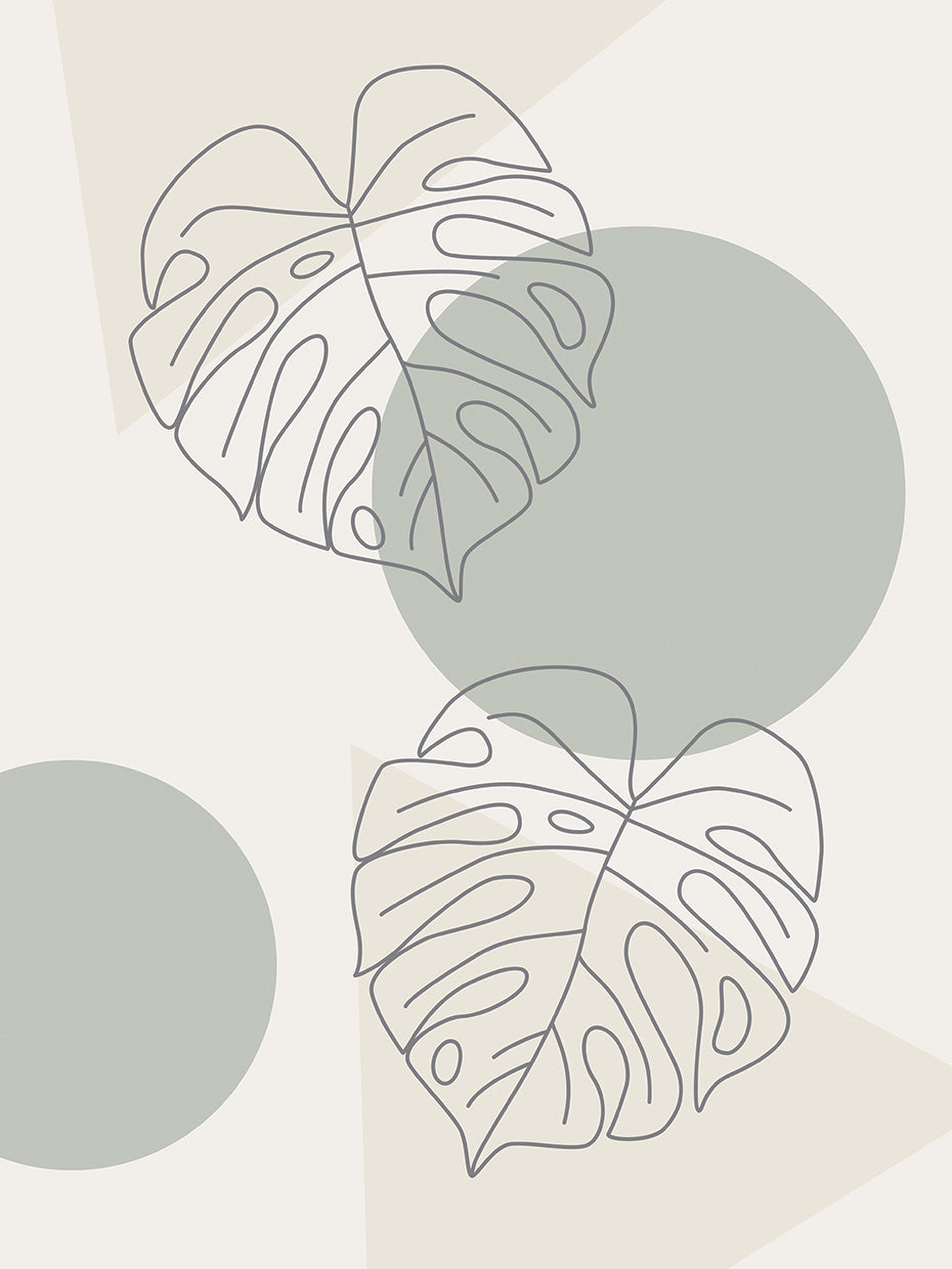 Monstera - Natural elements