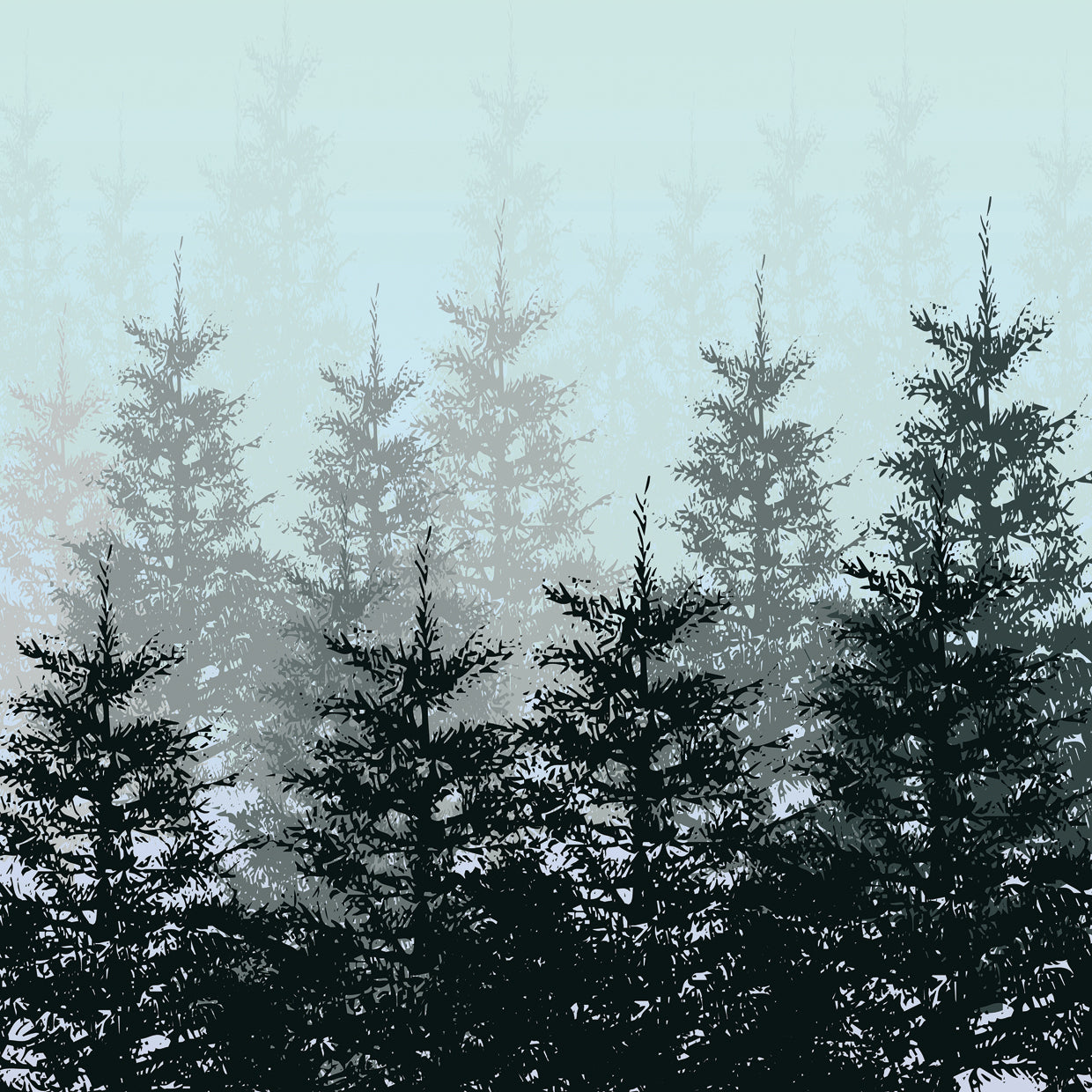 Foggy Evergreen Forest