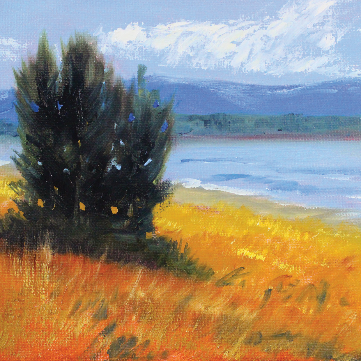 Northwest Shoreline