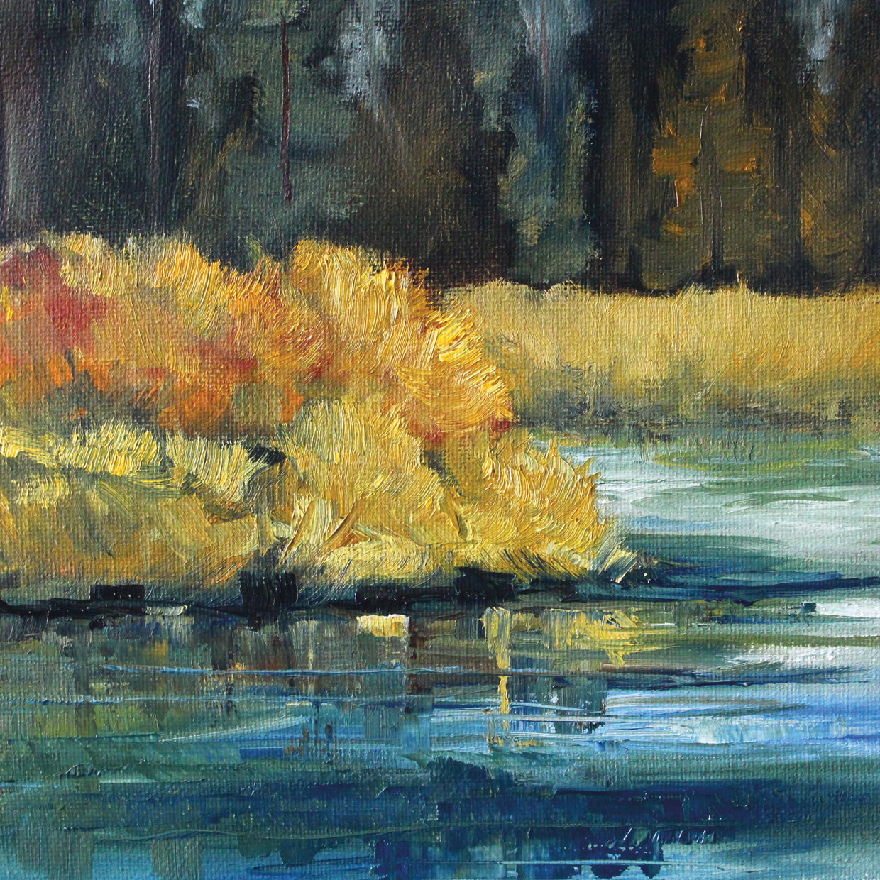 Woodland Pond