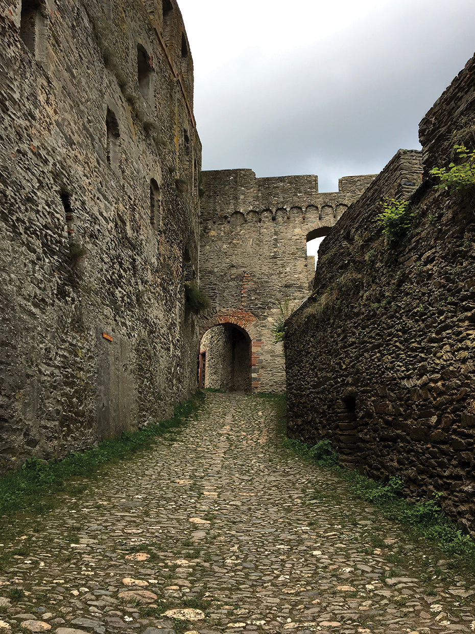 Rheinfels Castle Walk