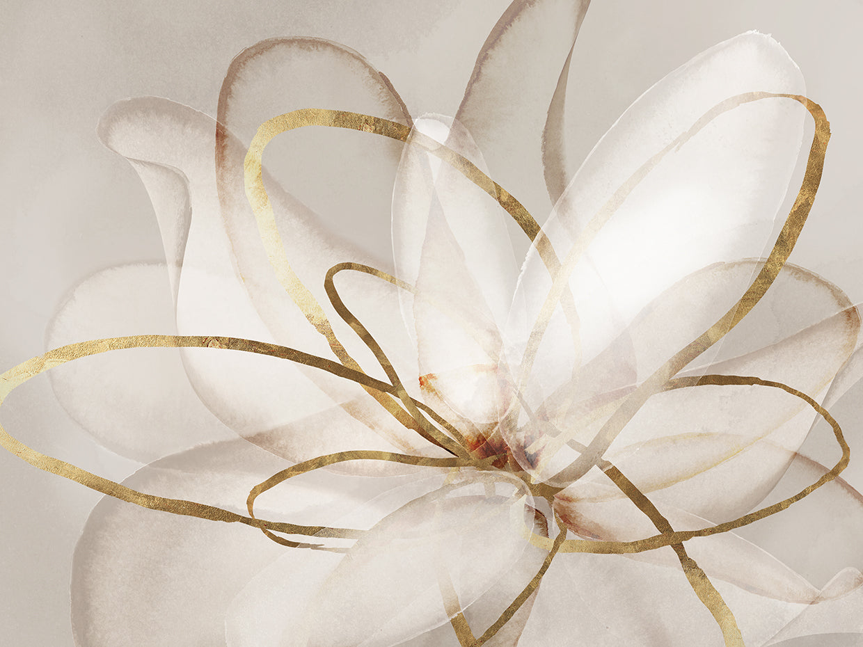 Transparent Beauty III