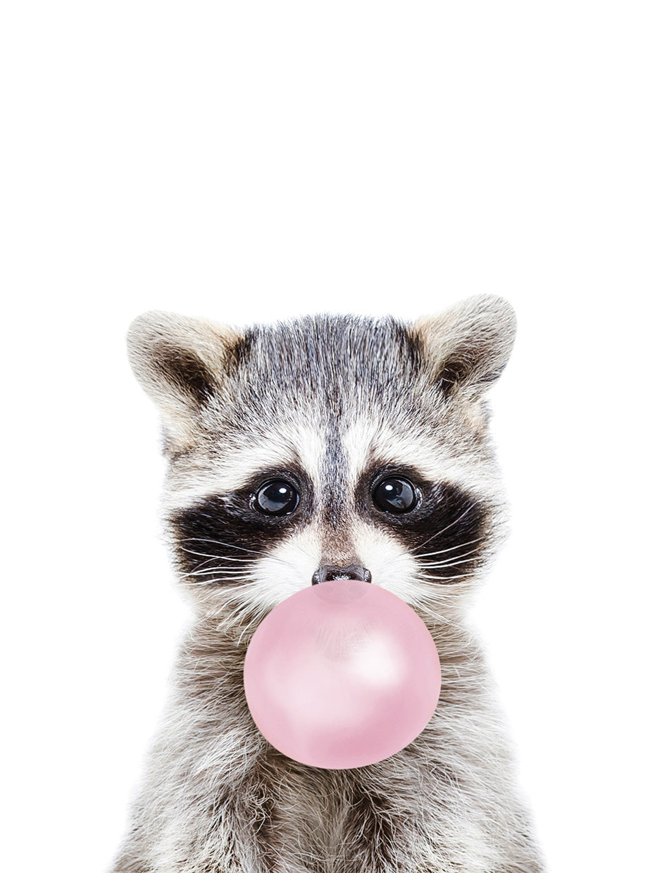 Bubble gum racoon