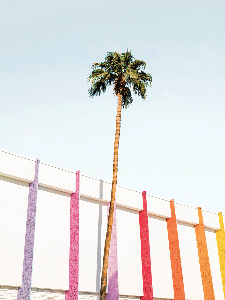 Palm Spring Colors 2