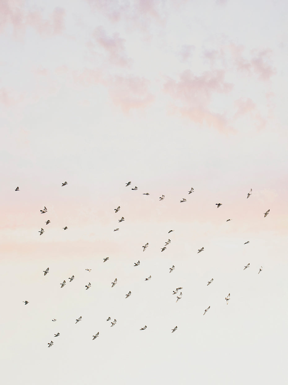 Pastel Sky flight