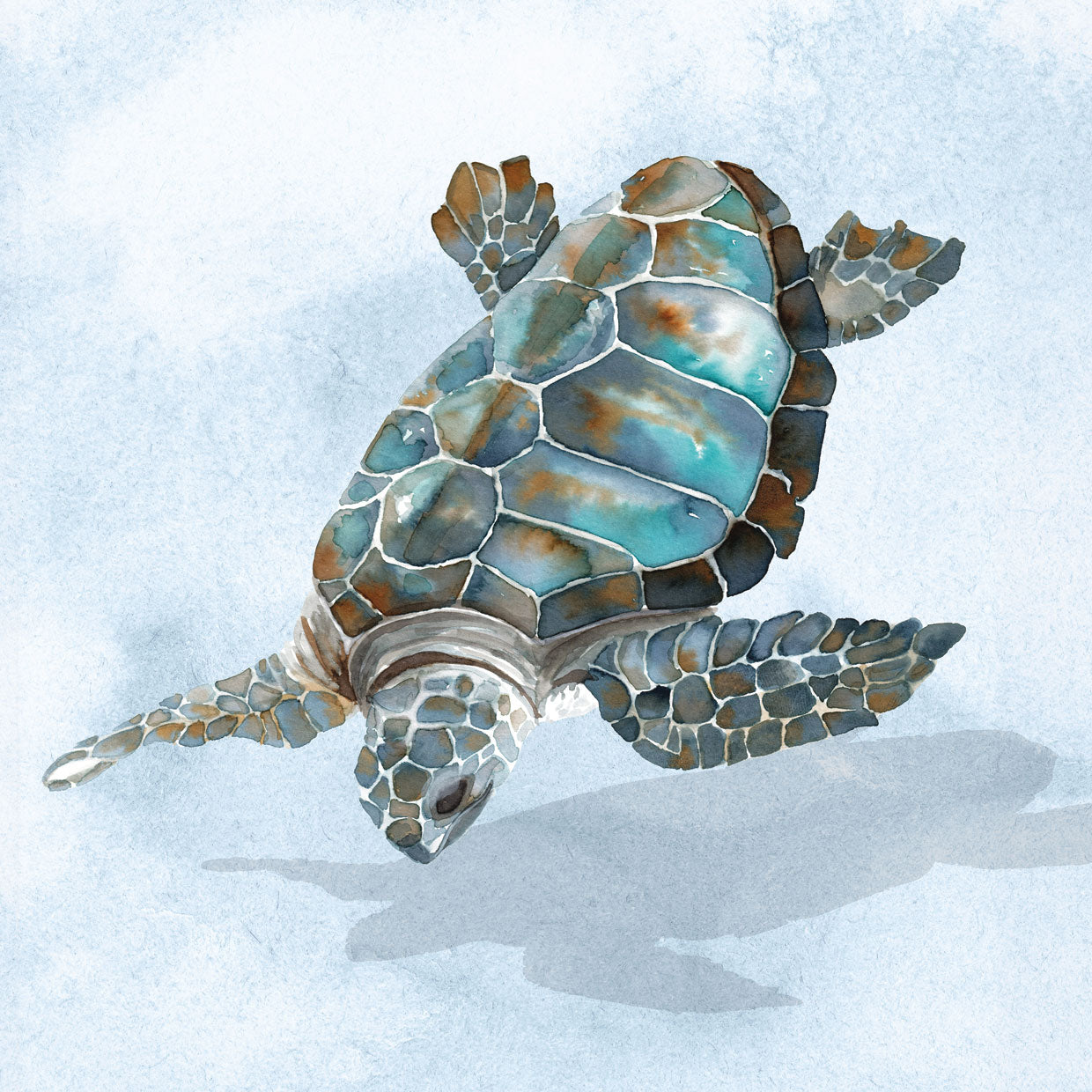 Blue Sea Turtle II