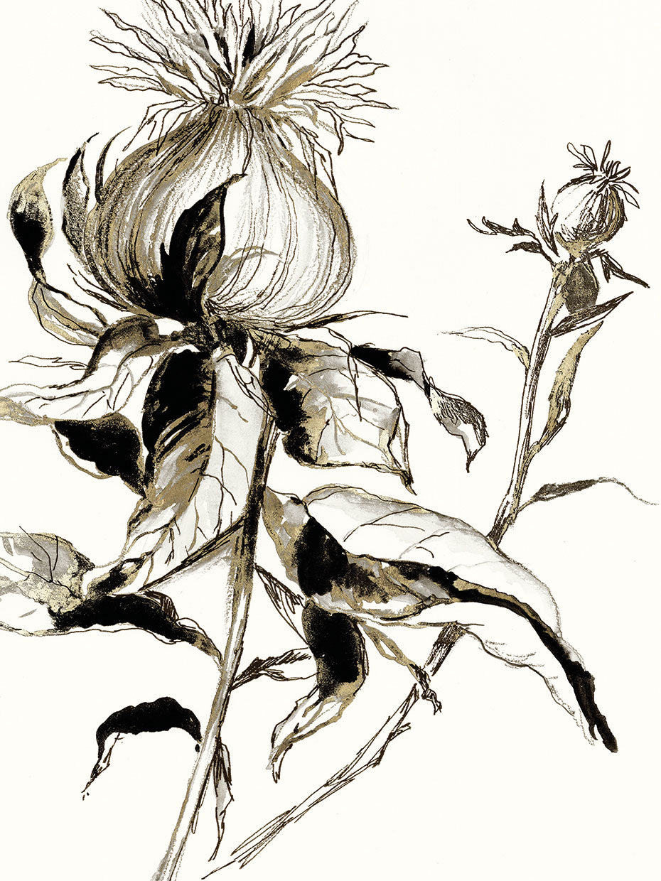 Botanical Seed II