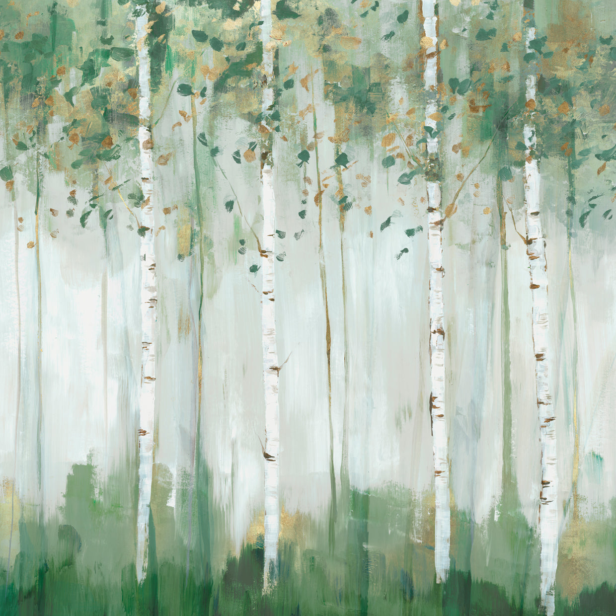 Green Birch Forest