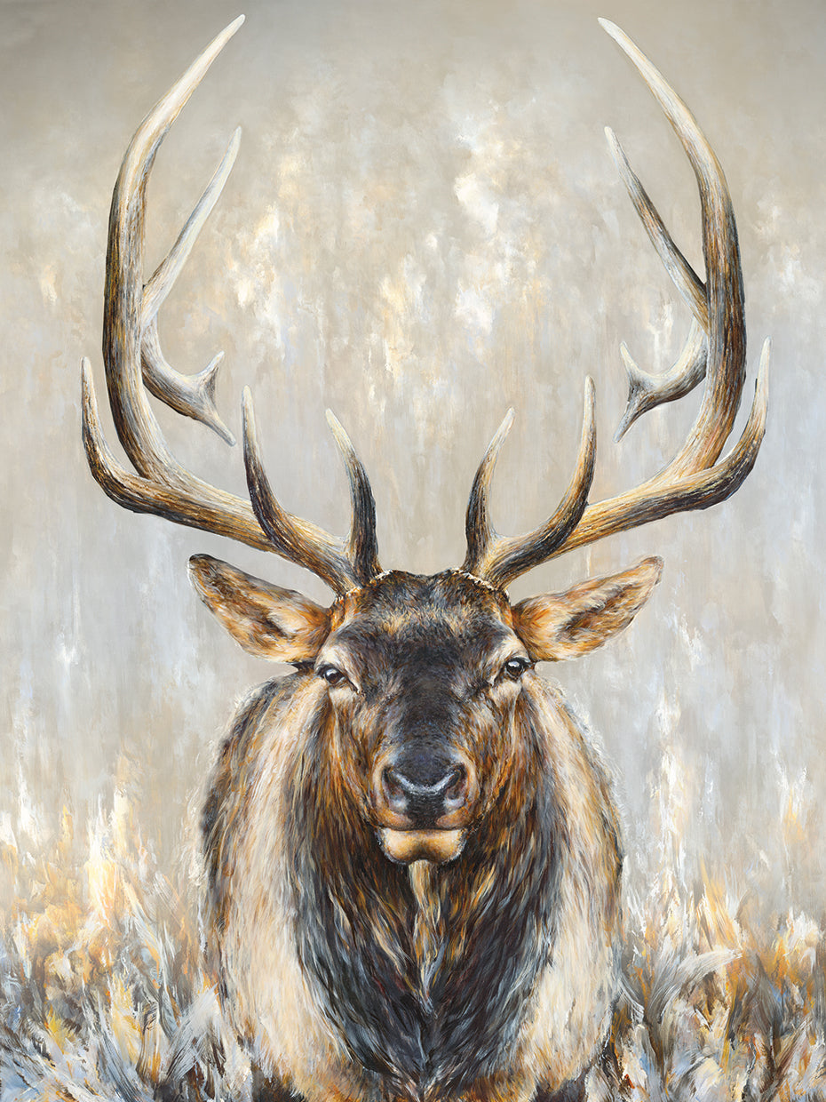 Imperial Bull Elk