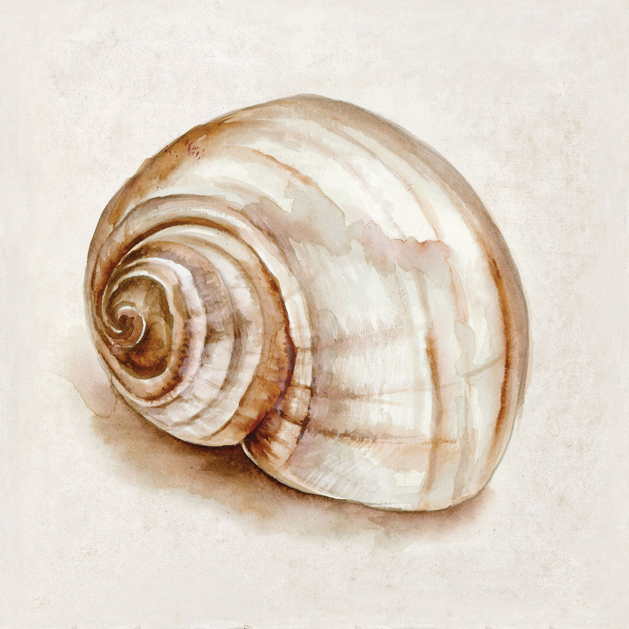 Pink Vintage Shell II