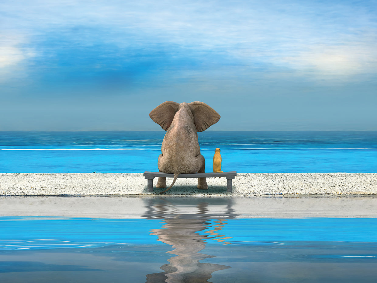 Elephant And Dog Sit at the Ocean