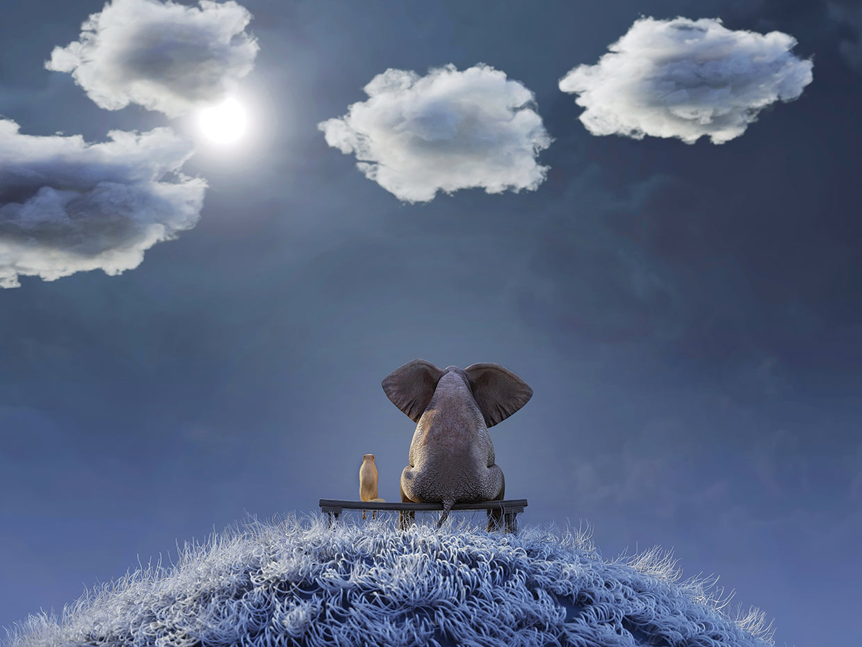 Elephant And Dog Sit on a Hill At Night