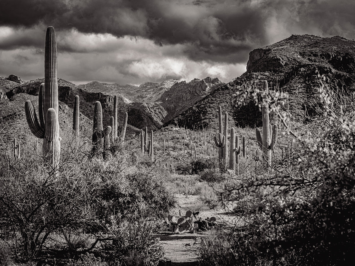 Santa Catalina Mountains 2