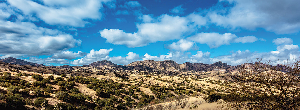 Sonoran Desert Hills